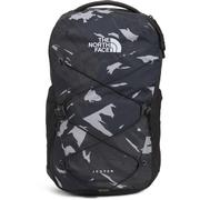 ASPHALT GREY SNOWCAP MOUNTAINS PRINT/TNF BLACK