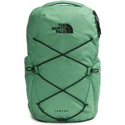 DIMMED ALGAE/TNF BLACK