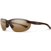 BROWN/POLARIZED BROWN