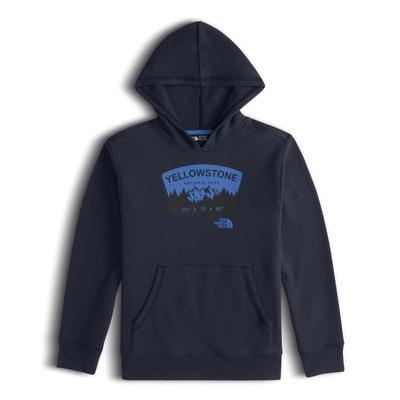 The North Face Logowear Pullover Hoodie Boys'