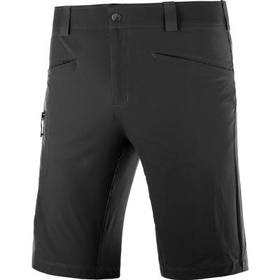 Salomon Wayfarer Shorts Men's