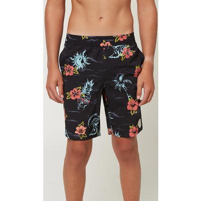 O'Neill Frothing Volley Boardshorts Boys'