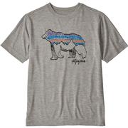 ILLUSTRATED FITZ BEAR: DRIFTER GREY X-DYE