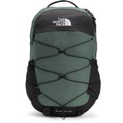 LAUREL WREATH GREEN/TNF BLACK
