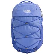 VIRTUAL BLUE/INDIGO PLUM