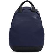 TNF NAVY/AVIATOR NAVY
