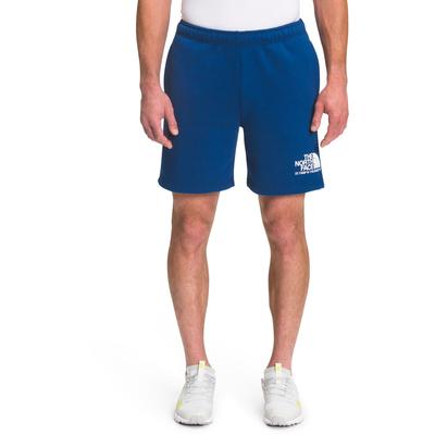 The North Face Coordinates Shorts Men's