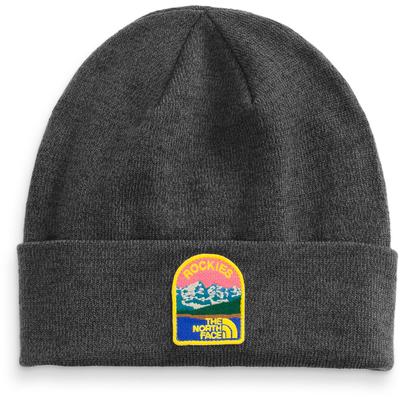 The North Face Embroidered Earthscape Beanie