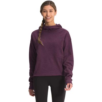 The North Face Canyonlands Pullover Crop Fleece Women's