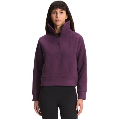 The North Face City Standard Microfleece 1/4 Zip Fleece Women's