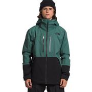 DARK SAGE/TNF BLACK