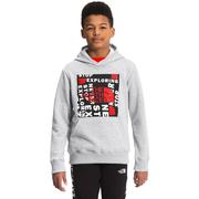 TNF LIGHT GREY HEATHER/FIERY RED