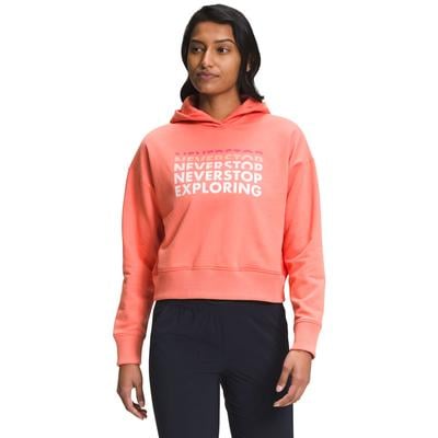 The North Face Logo Play Hoodie Women's