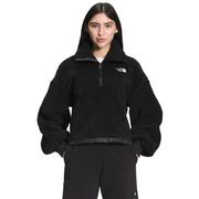 TNF BLACK IC GEO TONAL PRINT