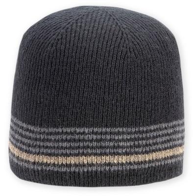 Pistil Rail Beanie Men's