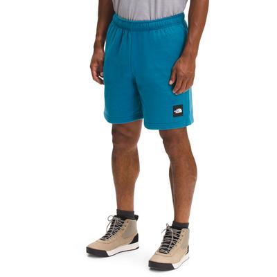 The North Face Never Stop Shorts Men's