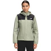 TNF BLACK/TEA GREEN