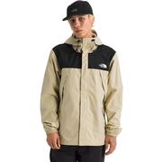 DESERT STONE/TNF BLACK