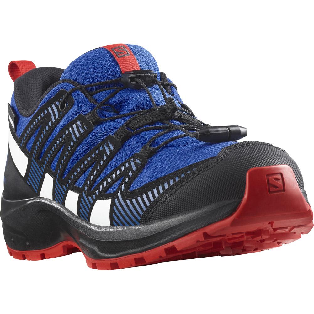 Salomon XA Pro 3D Goretex Trail Running Shoes Blue