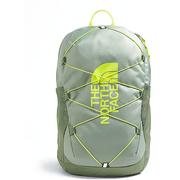 SLATE MOSS/BARK MIST