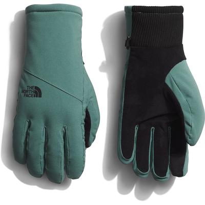 The North Face Shelbe Raschel Etip Gloves Women's