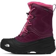 BOYSENBERRY/TNF BLACK