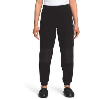 The North Face Alpine Polartec 200 Fleece Pants Women's