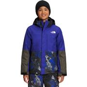 TNF BLACK MOUNTAINTOP PRINT