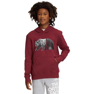 The North Face Camp Fleece Pullover Hoodie Boys'