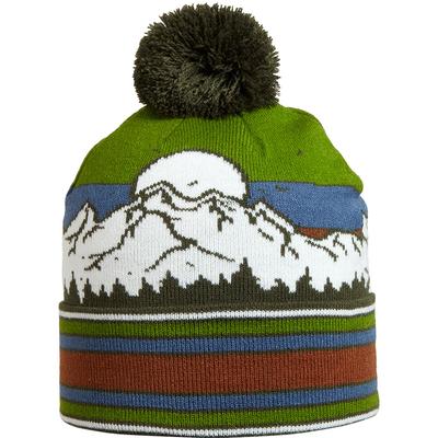 Turtle Fur Vista Pom Beanie Boys'