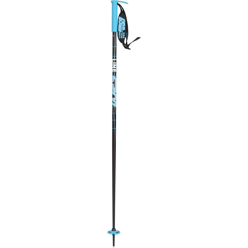  Line Wallischtick Ski Poles 2023