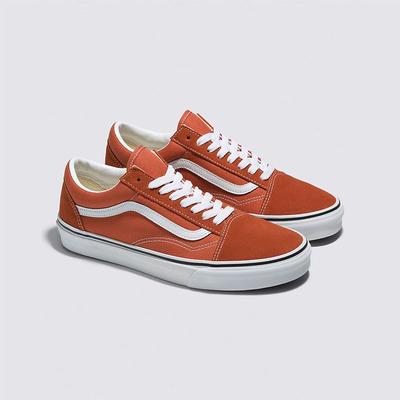 Vans Old Skool Shoes