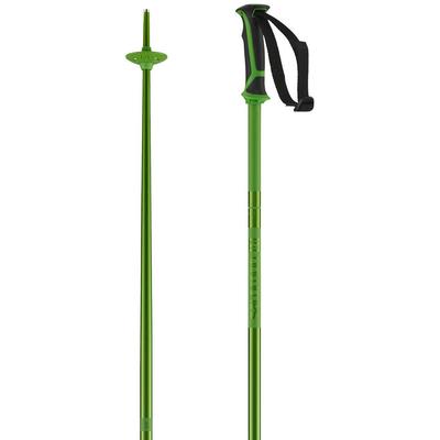 Salomon Arctic Ski Poles