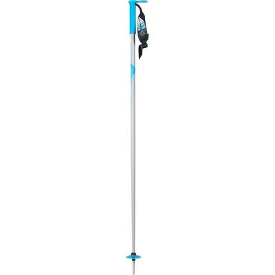 Line Wallishtick Ski Poles 2024