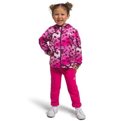 The North Face Glacier Full Zip Fleece Hoodie Kids'