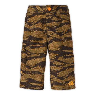 The North Face Boys' Markhor Hike/Water Short 