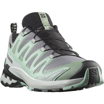 Salomon XA Pro 3D V9 GTX Trail Running Shoes Women's