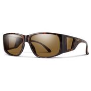 TORTOISE/CHROMAPOP POLARIZED BROWN