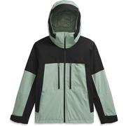 SLATE MOSS/TNF BLACK