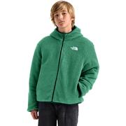 DIMMED ALGAE/HUNTER GREEN