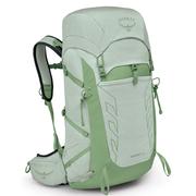 FROSTY MINT GREEN BOTANICA
