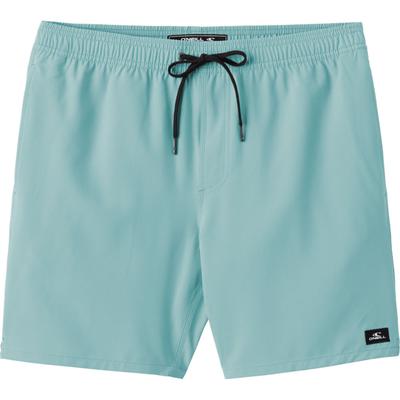 O'Neill Lennox Hermosa Solid 17 Inch Volley Shorts Men's