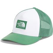 DIMMED ALGAE/TNF WHITE