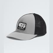 TNF MEDIUM GREY HEATHER/MOUNTAINSCAPE PATCH