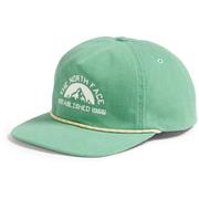 DIMMED ALGAE/EST 1966 GRAPHIC