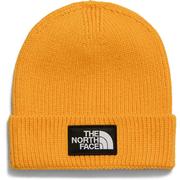 SUMMIT GOLD