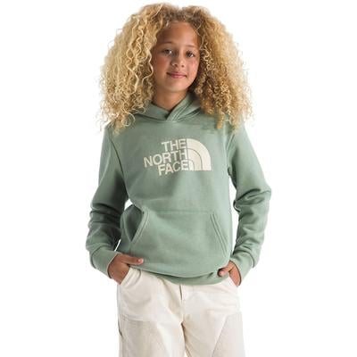 The North Face Teen Evolution Half Dome Pullover Hoodie