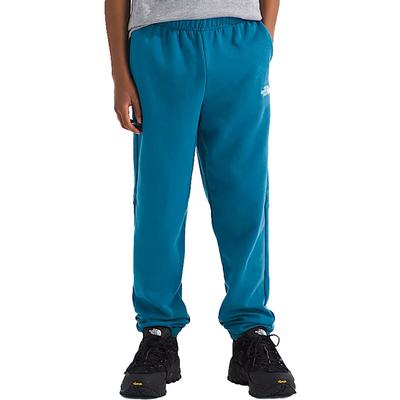 The North Face Teen Evolution Emb Pants