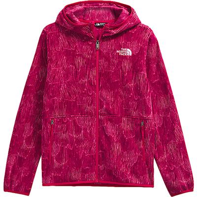 The North Face Teen Glacier Full Zip Fleece Hoodie-Print