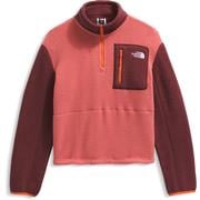 MARS DUST/SUMAC/SOLAR FLARE